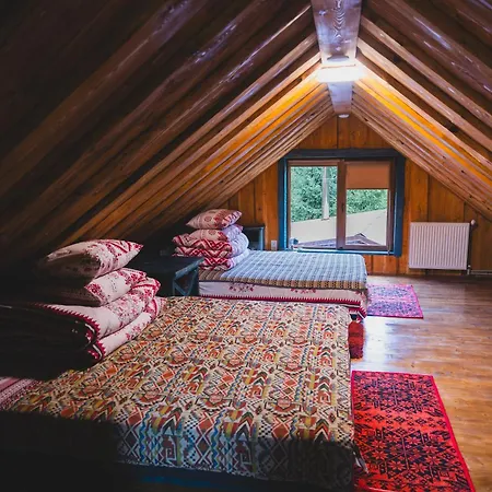 Spadok * Synevyrsʼka Polyana