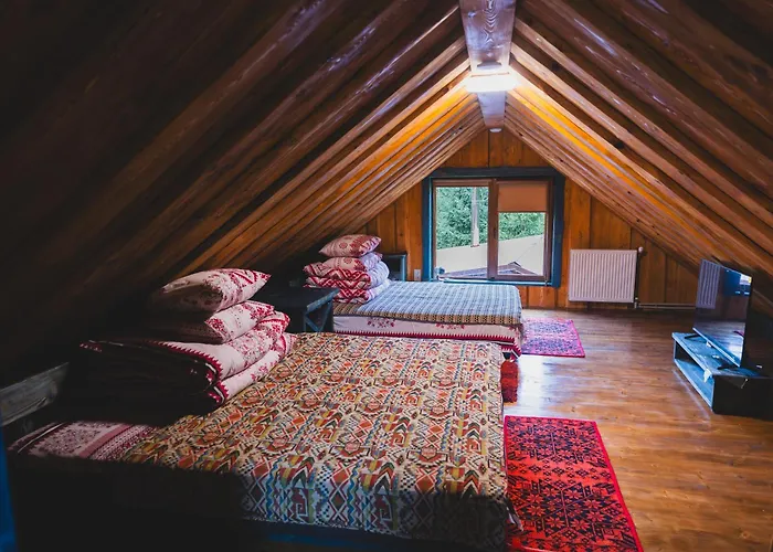 Spadok Forest - 1 * Synevyrs'ka Polyana